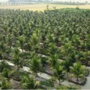 성의농장 2 이미지