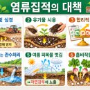 염류집적 원인 및 대책 이미지
