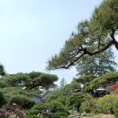 카페동산 - 제주시 고산동산서길 11 | 카페동산