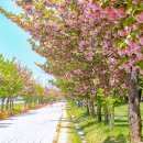 미사경정공원 이미지