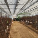 파주시산림조합 이미지