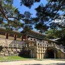 불국로(남) | 경주 가볼만한곳 불국사 문화 해설 후기와 주차 꿀팁
