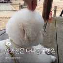 다나 동물병원 이미지