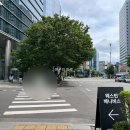 영등포좋은나무 | 웨스턴베니비스 영등포 뷔페 단독홀 오후 하객 후기