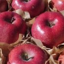 한성농장 이미지