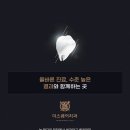 서울더안치과의원 이미지