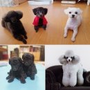일프로컴퍼니