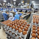 혁신농장 이미지