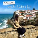그린별장 | 10월 리스본 근교 신트라 호카곶 절벽마을 페나궁전 헤갈레이라 별장 버스투어 상세후기 할인코드 포함