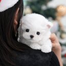 고흥들꽃하우스 이미지