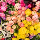 푸드익스체인지 이미지