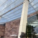 엠지엠시스템 | [미국 여행] 라스베가스- 아리아 호텔 디럭스룸 (Aria Hotel&amp;Resort), 얼리 체크인/아웃