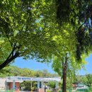 전이랑아구랑 이미지