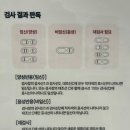 트리플리 | 트리플리 얼리체크 : 3-Line 임신테스트기