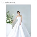 [드레스샵] 메이제인, 르네 아뜰리에 드레스 투어 후기