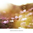 굿바이바이러스