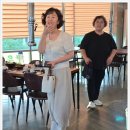 대한노인스포츠진흥원 이미지