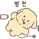 도그다움 이미지