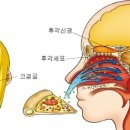 김호선한의원 이미지
