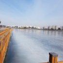 기흥호수공원(뚝방) 이미지