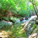 자연에 머물다 이미지