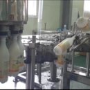 시골막걸리 이미지