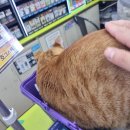 CU 광주주월점 이미지