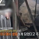 와이드 농장 이미지