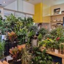 삼성게임랜드 이미지