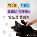 다홍문화