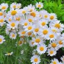 해피앤드로 끝나는 영화나 한 편 이미지