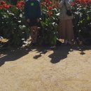 나리가펜션 이미지