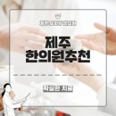제주보화당한의원 네이버블로그