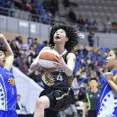 &#39;부산에서 여자농구 본다&#39; BNK캐피털, 부산서 8일 창단 기자회견 이미지