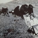 범당골농장 이미지