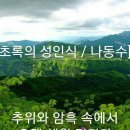 초록