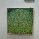 피부맑음 에스테틱 이미지