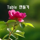 멋진 Table 만들기 이미지