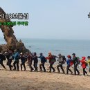 이일레3 이미지