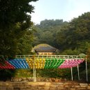 4/14~15일(1박2일)-"경주의 벚꽃이야기"경주 남산(금오봉&토함산)등 경주 알아보기 이미지