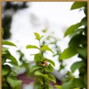 앵두식당 이미지