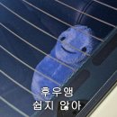 주간 용다방 일상 : 내가 할 수 있는 일들을!