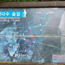 삼다수다방