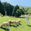 은모래목장 이미지