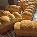 전북베이커리고등학교 이미지