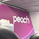 피치항공 후기 + 간사이 공항 이용 후기! 저가항공 걱정했지만 만족했던 이유
