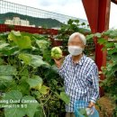 해피트리요양원 이미지