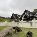 멍멍플레이스펜션 이미지