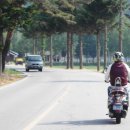 전나무목장 이미지