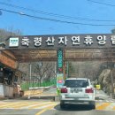 숲속의 계곡 | 남양주 축령산 자연휴양림 숲속의 집 숙박 후기, 계곡 물놀이